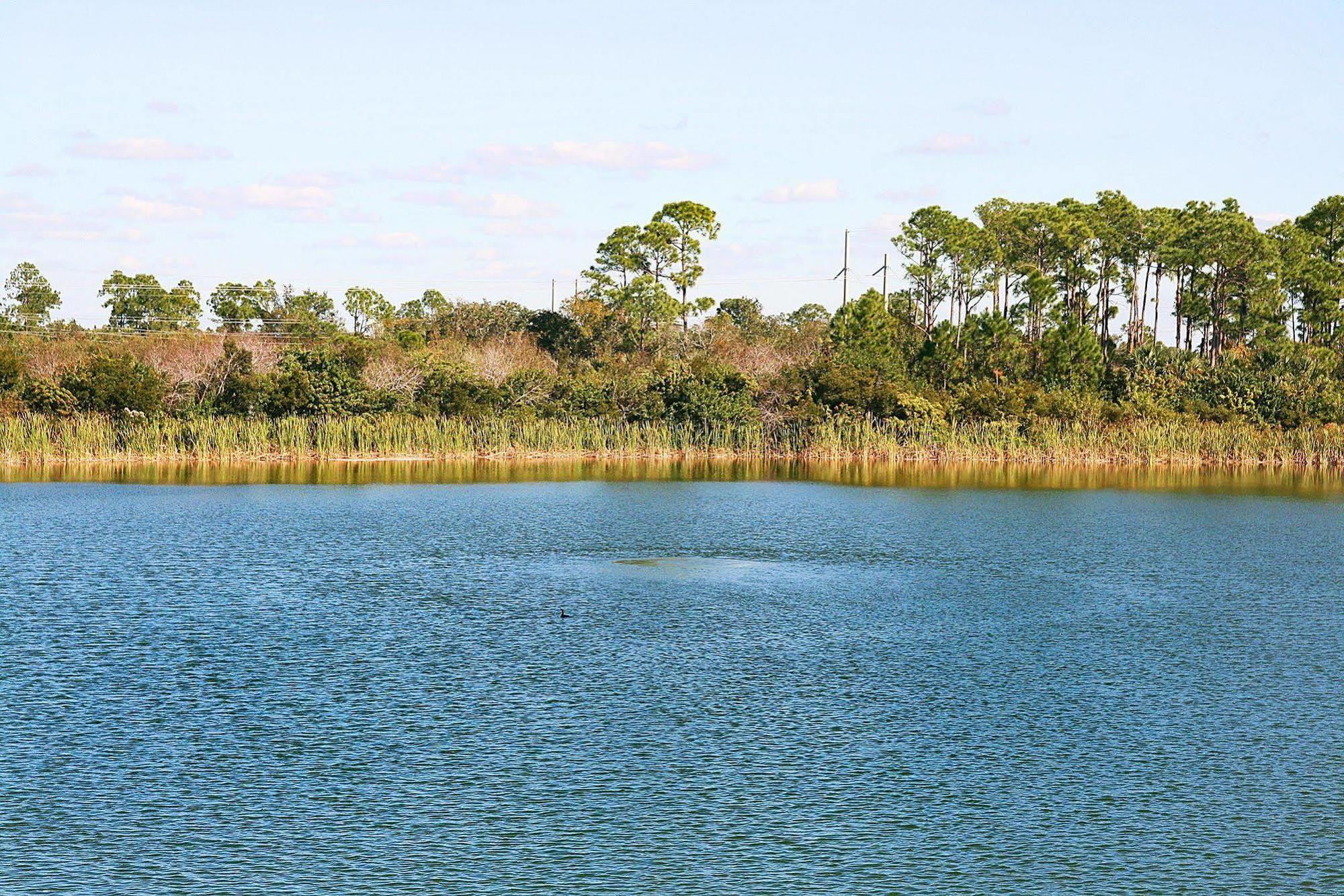 Hampton Inn Port Charlotte Eksteriør bilde